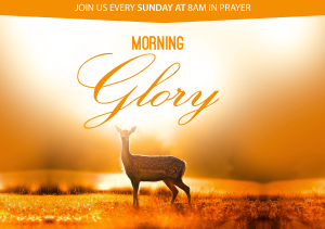 Prophet Climate Ministries ABNG019-MORNING-GLORY.-300x211 ABNG019  (MORNING GLORY). 