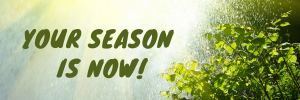 Prophet Climate Ministries season-is-now-email-banner-300x100 season is now email banner  